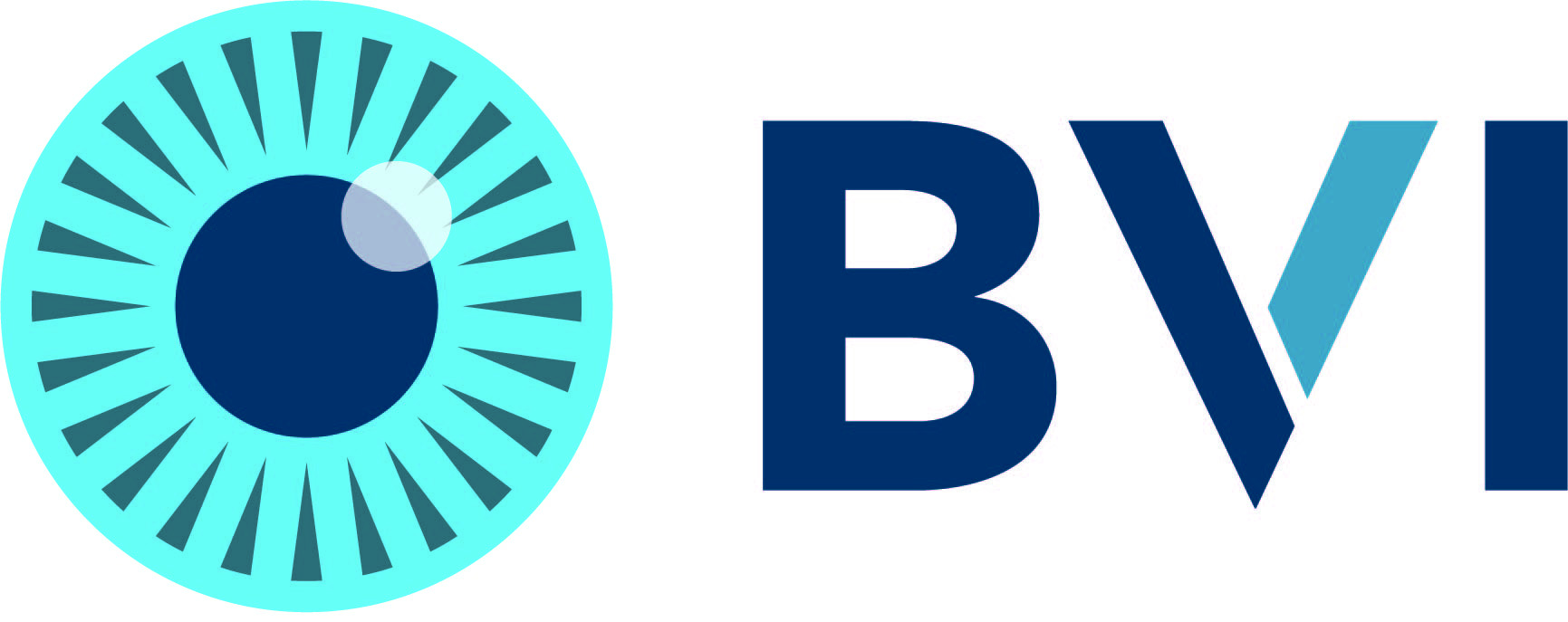 BVI logo
